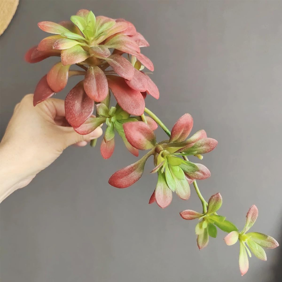 2pcs Artificial Succulent Plants, Realistic Large Fake Succulents, Artificial Hanging Ornaments for