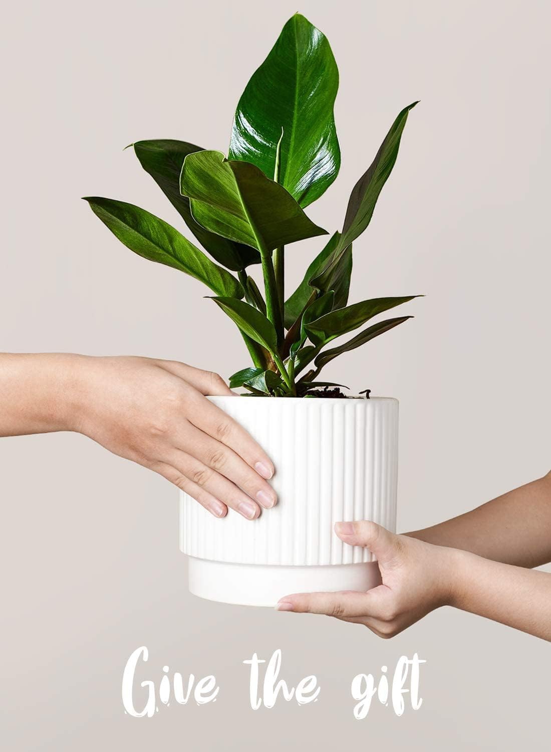LE TAUCI Ceramic Pots for Plants, 8+6.7+5.5 Inch Plant Pots Indoor, Flower Pot with Drainage Holes