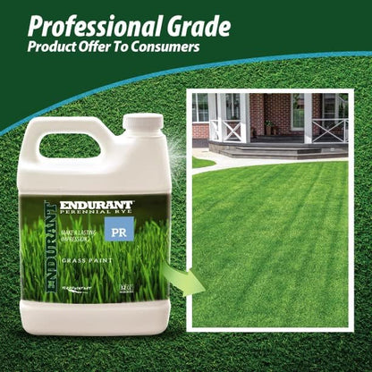 Endurant Turf Colorants - Perennial Rye Spray On Green Grass Paint For Lawns - Revives Dry, Patchy