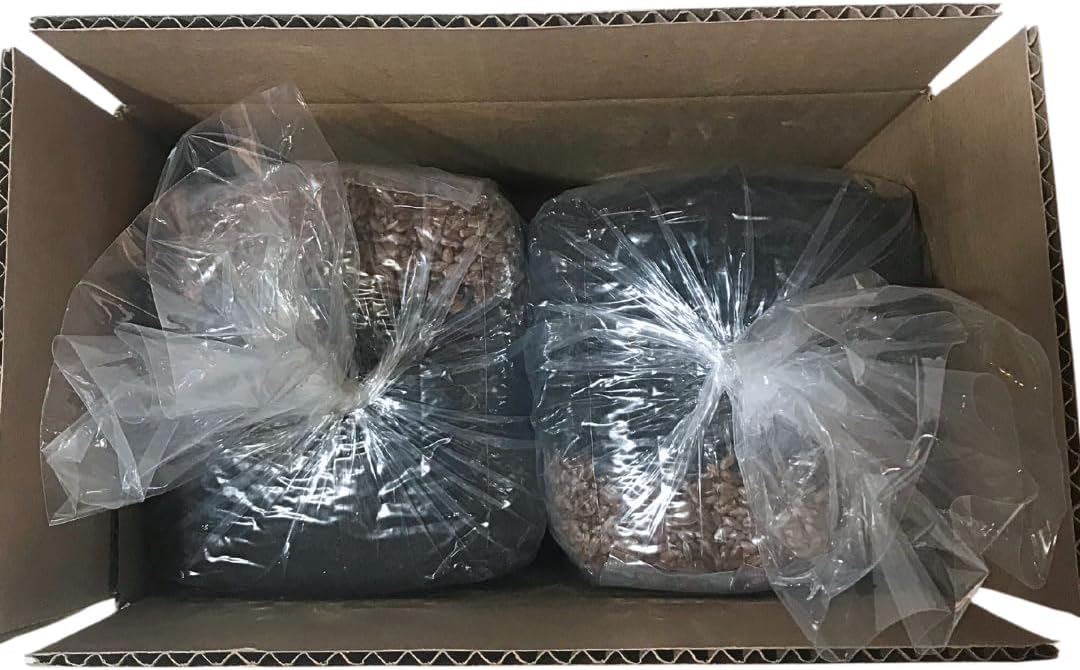 Mushroom Grow Kit - Magic All in One Mushroom Grow Bags - 4 Pack