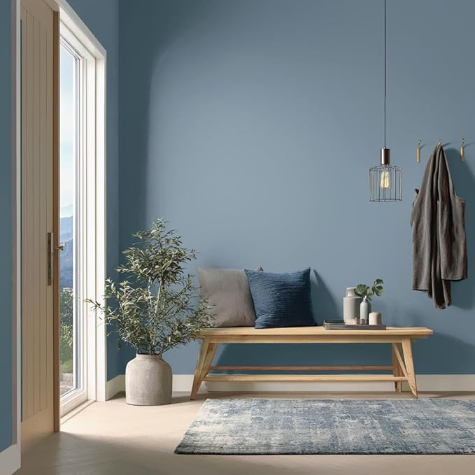 EVOLVE Paint & Primer: Environment-friendly, Eggshell with One-coat Coverage for Interior &