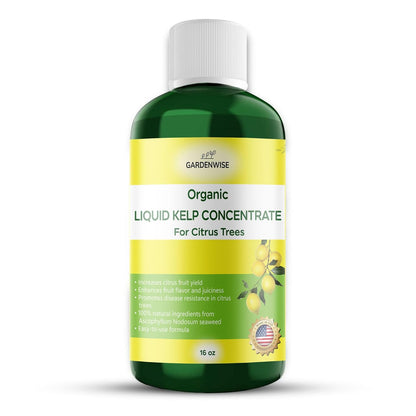 Organic Premium Kelp Seaweed Fertilizer: All-in-One Citrus Tree Fertilizer for Meyer Lemon, Lime