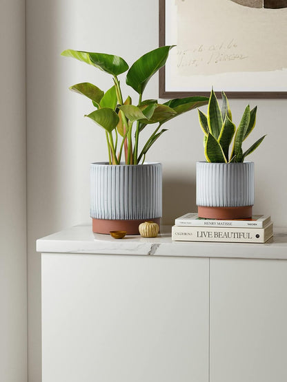 LE TAUCI Ceramic Pots for Plants, 8+6.7+5.5 Inch Plant Pots Indoor, Flower Pot with Drainage Holes