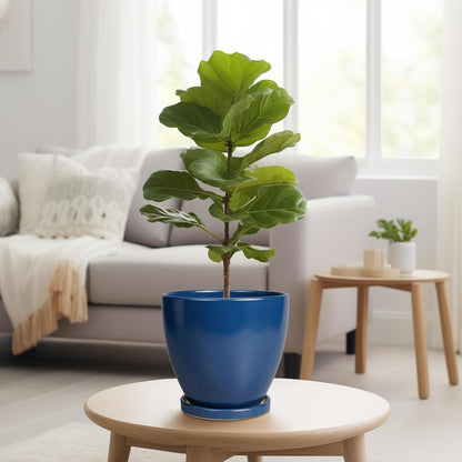 Ceramic Plant Pot - 8 Inch Planter for Indoor Outdoor Plants, Round Flower Pots with Drainage and
