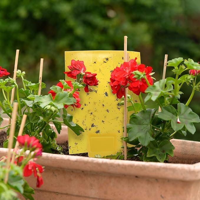 Gideal 20-Pack Dual-Sided Yellow Sticky Traps for Flying Plant Insect Such as Fungus Gnats