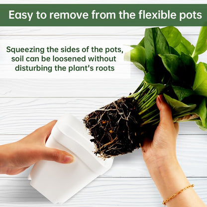 BTPLASTIK 80 Pcs Nursery Pots 4 Inch, Plastic Seed Starting Pot with Drainage Holes, Small Sturdy