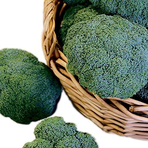 Park Seed Variety of Broccoli Plant Seeds, Easy to Grow, Perfect for Garden, Castle Dome Hybrid
