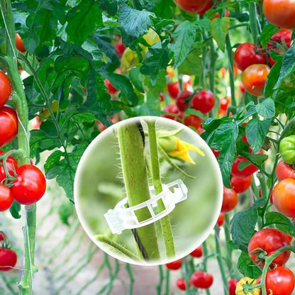Plant Support Clips, Reusable Garden Clips Plant Holder Clips, Plastic Tomato Vine Grape Clips for