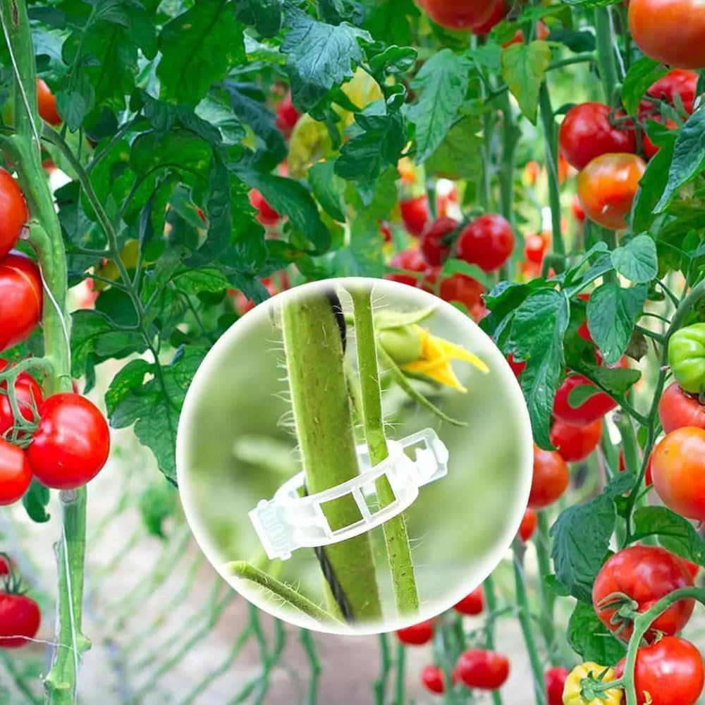 Plant Support Clips, Reusable Garden Clips Plant Holder Clips, Plastic Tomato Vine Grape Clips for
