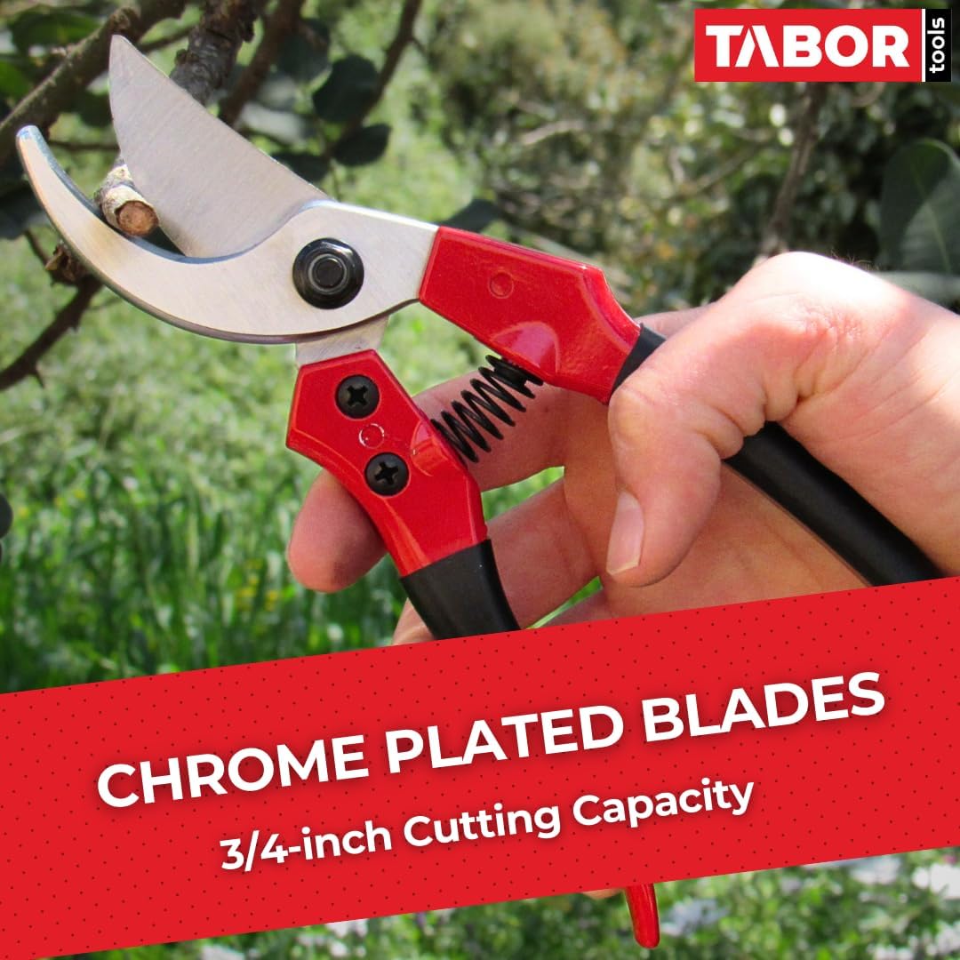 TABOR TOOLS S821A Bypass Pruning Shears, Makes Clean Cuts, Great for S-M Size Hands. Professional