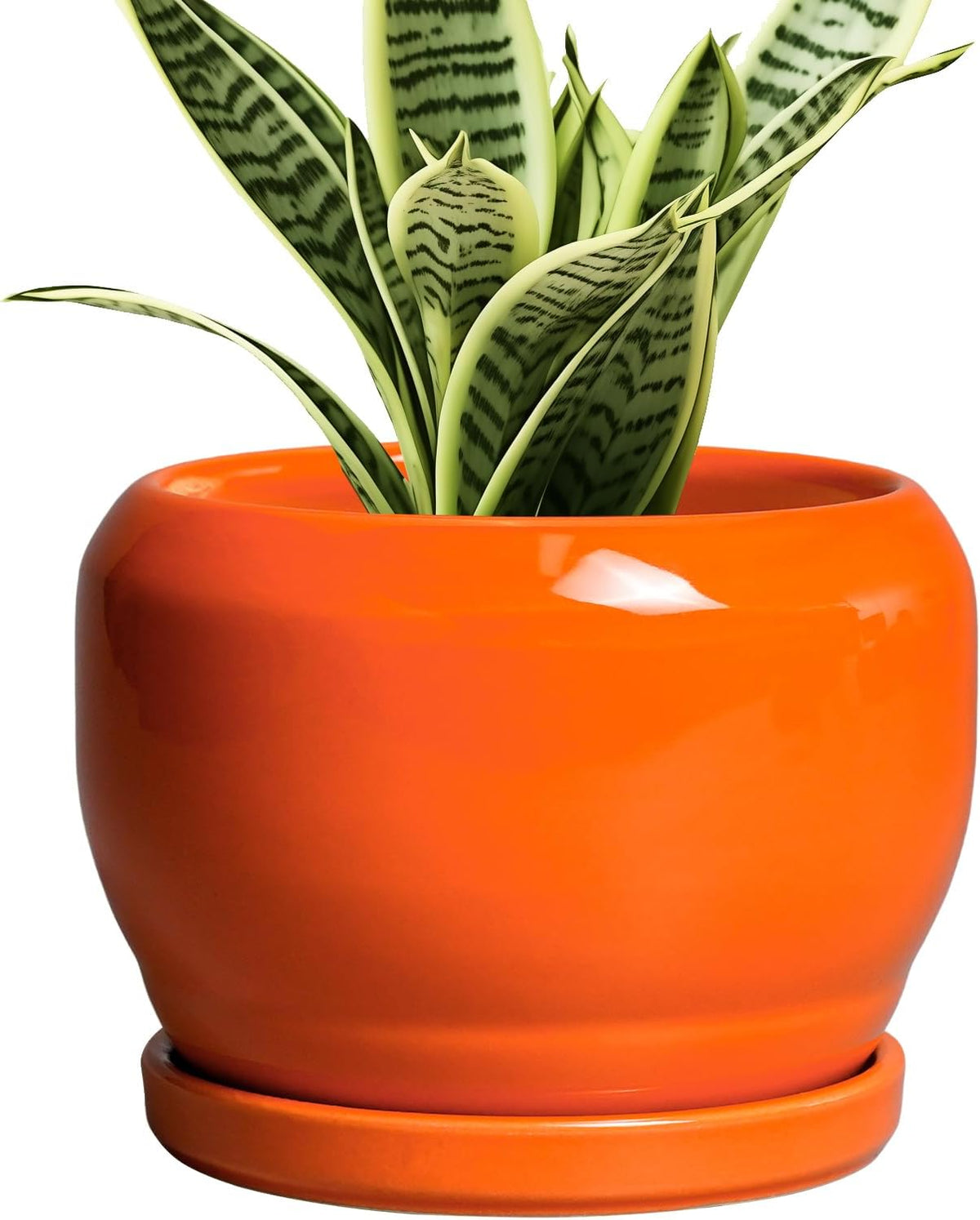 SQOWL Ceramic Plants Pots - 6 Inch Planter Indoor with Drainage Hole and Plant Saucer, Modern Round