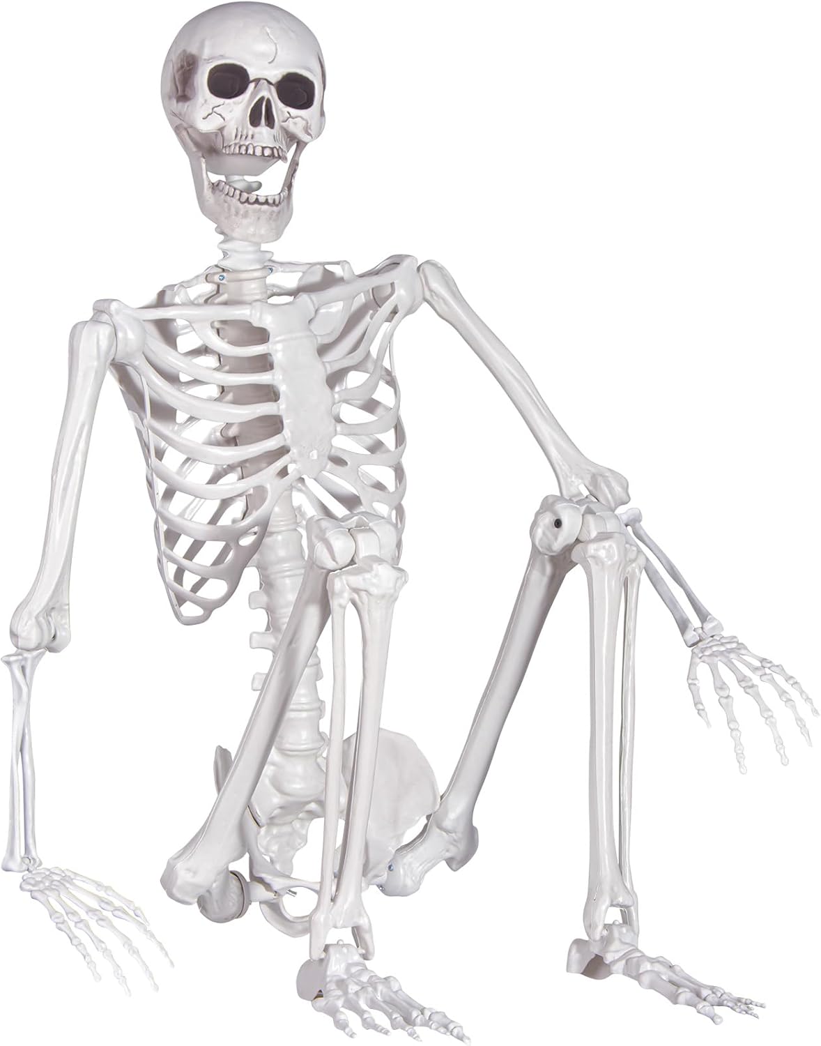Halloween Skeleton, Realistic Life Size Skeleton with Movable Joints for Halloween Party Haunted