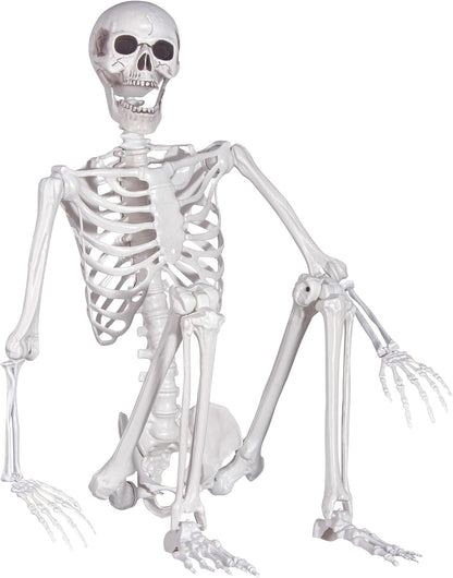 Halloween Skeleton, Realistic Life Size Skeleton with Movable Joints for Halloween Party Haunted