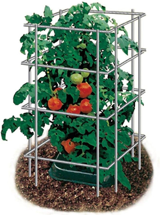 Park Seed Tomato Cages – 48" Tall Heavy-Duty Plant Supports for Tomatoes, Peppers, Cucumbers, and