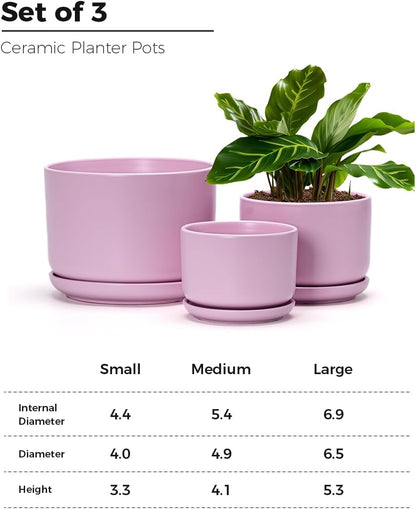 Ton Sin Plant Pots, 4.1+5.1+6.5 inch, Set of 3, Ceramic Planters with Drainage Hole and Saucer