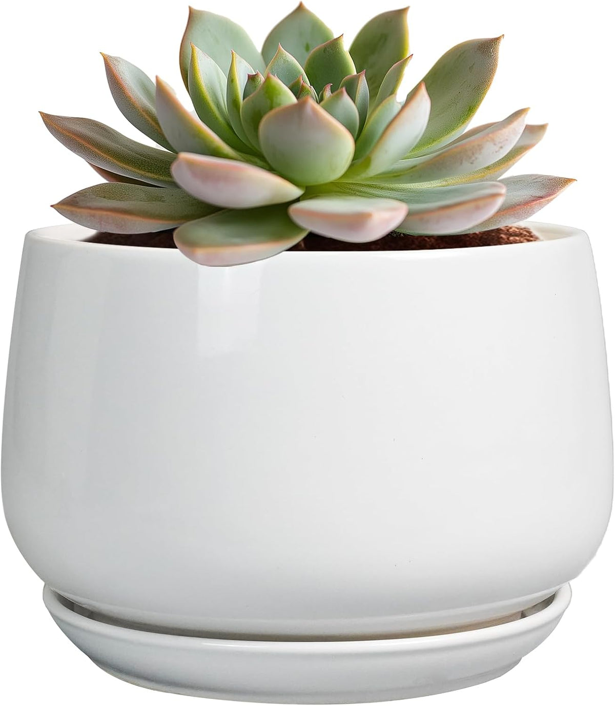 G EPGardening Ceramic Pots for Plants - 6 Inch Planter for Indoor Plants, Flower Pots with Drainage