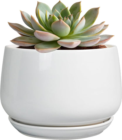 G EPGardening Ceramic Pots for Plants - 6 Inch Planter for Indoor Plants, Flower Pots with Drainage