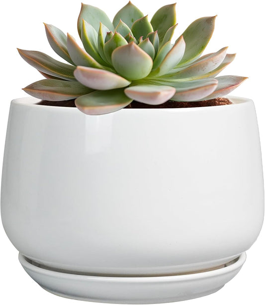 G EPGardening Ceramic Pots for Plants - 6 Inch Planter for Indoor Plants, Flower Pots with Drainage
