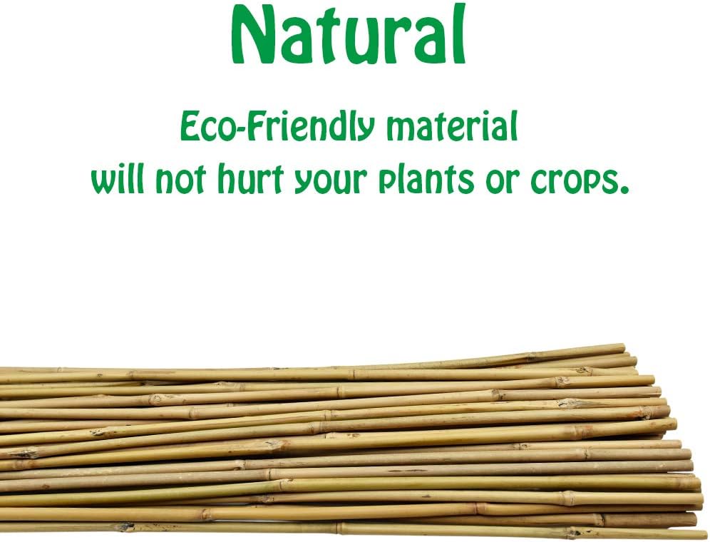 Mininfa Natural Bamboo Stakes 6 Feet, Eco-Friendly Garden Stakes, Plant Stakes Supports Climbing