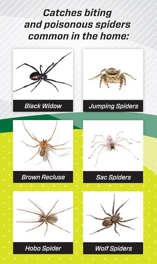 RESCUE! Spider Traps – Catches Brown Recluse, Hobo Spiders, Black Widows & Wolf Spiders - 3 Pack (9