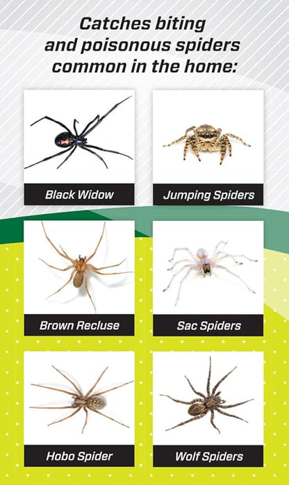 RESCUE! Spider Traps – Catches Brown Recluse, Hobo Spiders, Black Widows & Wolf Spiders - 3 Pack (9