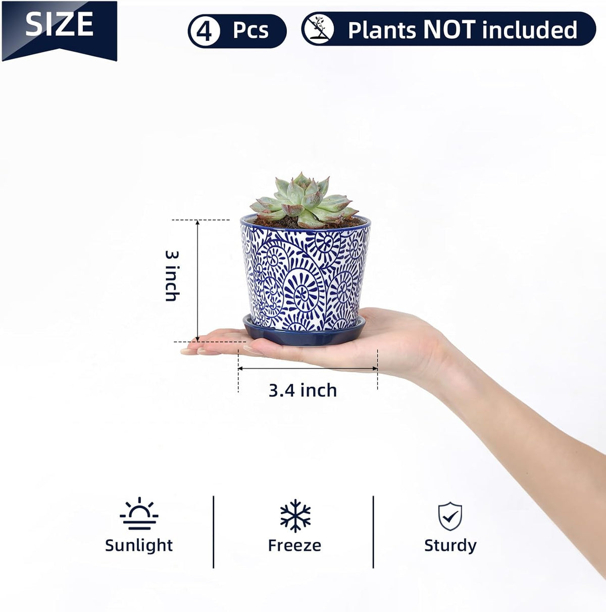 Selamica Ceramic Succulent Pots, 3.4 Inch Small Pots for Plants with Drainage Holes and Saucers