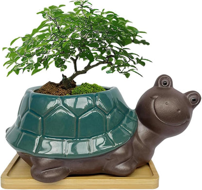MUZHI Ceramic Bonsai Pot with Bamboo Tray SmilingTurtle Shape, Cute Animal Succulent Cactus Planter