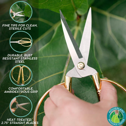 Premium Houseplant Scissors | 100% Stainless Steel, Ultra-Precise Garden Clippers for Propagation &