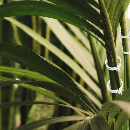 AIIONP 100 PCS Plant Support Clips Reusable Garden Clips, Secured Plastic Plant Clips, Tomato