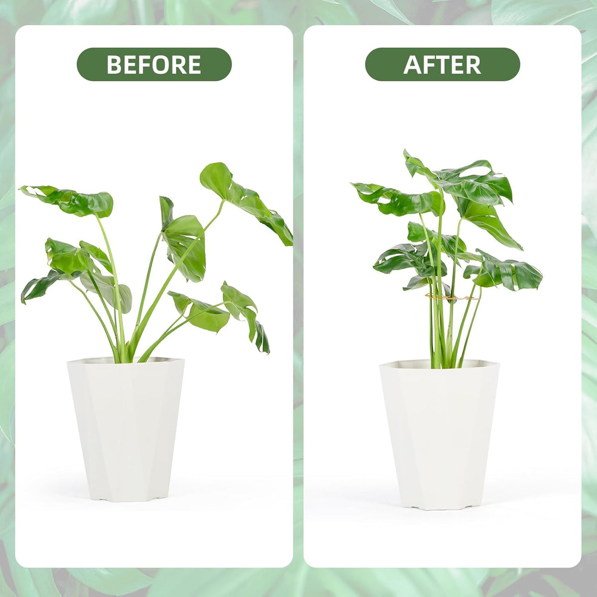6PCS Iron Monstera Plant Support, Uniquely Designed Indoor Plant Accessories, Stable Plant Support