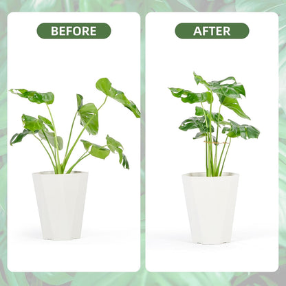 6PCS Iron Monstera Plant Support, Uniquely Designed Indoor Plant Accessories, Stable Plant Support