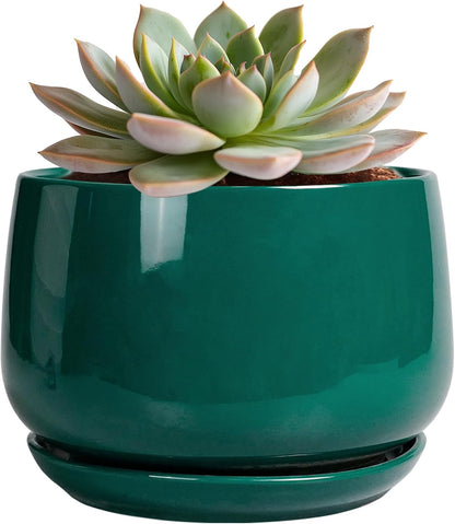G EPGardening 6 Inch Plant Pot - Ceramic Planter for Indoor Plants, Round Planter with Drainage and