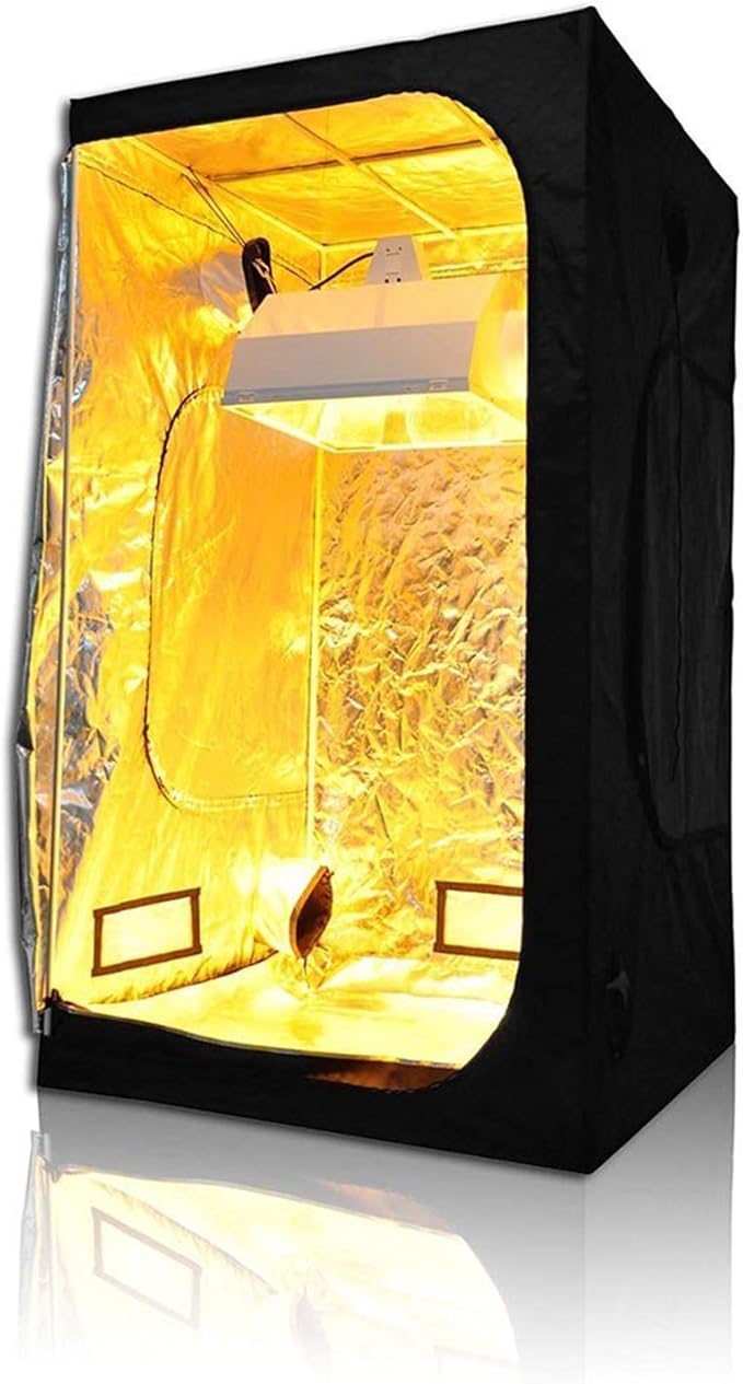 SunStream 1000 Watt HPS Light Dimmable Electronic Grow Light Ballast for Indoor Plant (Liteversio