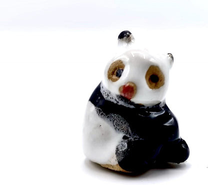 Live Dwarf Juniper Bonsai Tree 4-5years Old with Cute Ceramic Panda | Juniper or Jade Bonsai Tree |