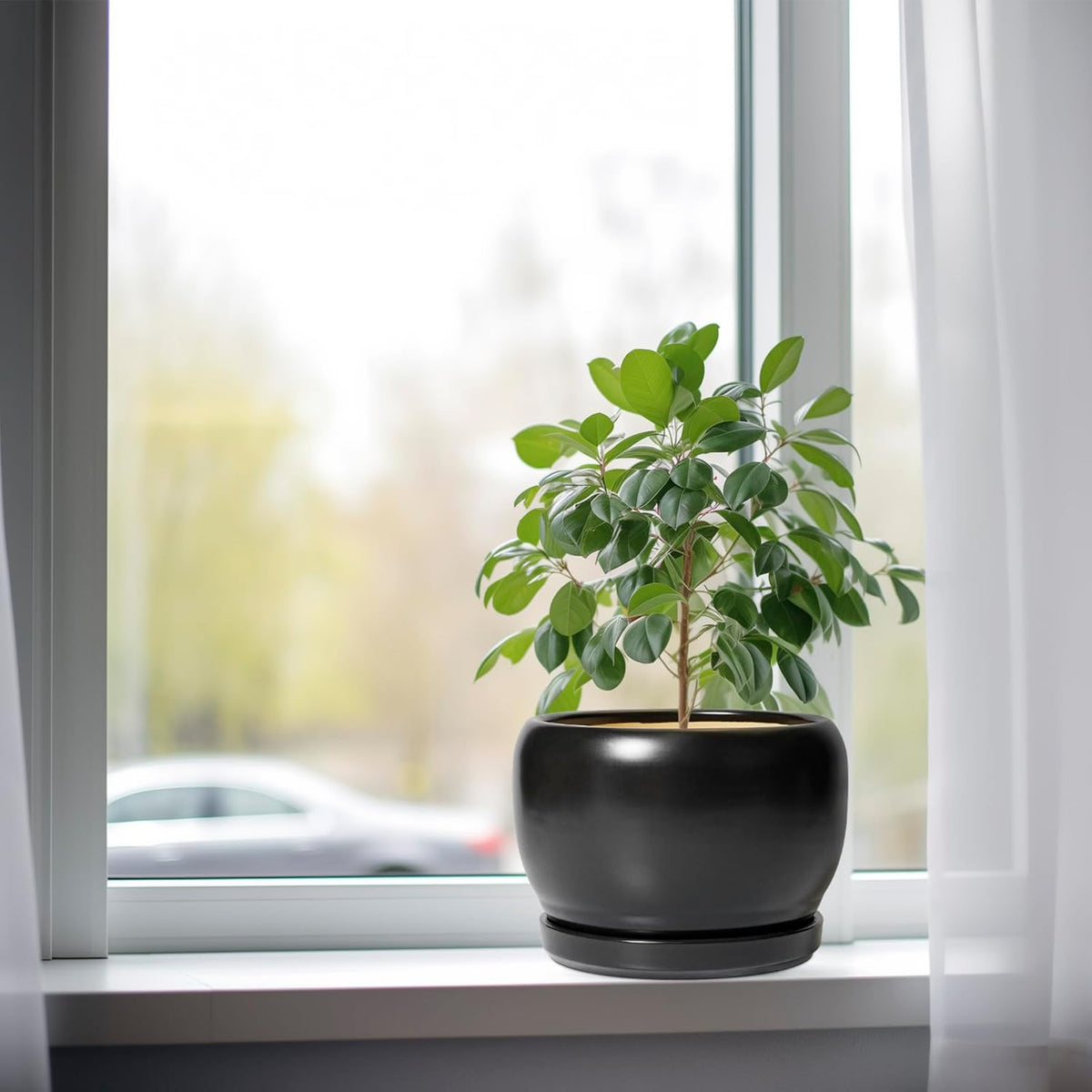 SQOWL Ceramic Plant Pots - 8 Inch Planter Indoor, Round Flower Pot with Drainage Hole and Saucer