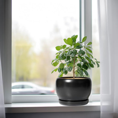 SQOWL Ceramic Plant Pots - 8 Inch Planter Indoor, Round Flower Pot with Drainage Hole and Saucer