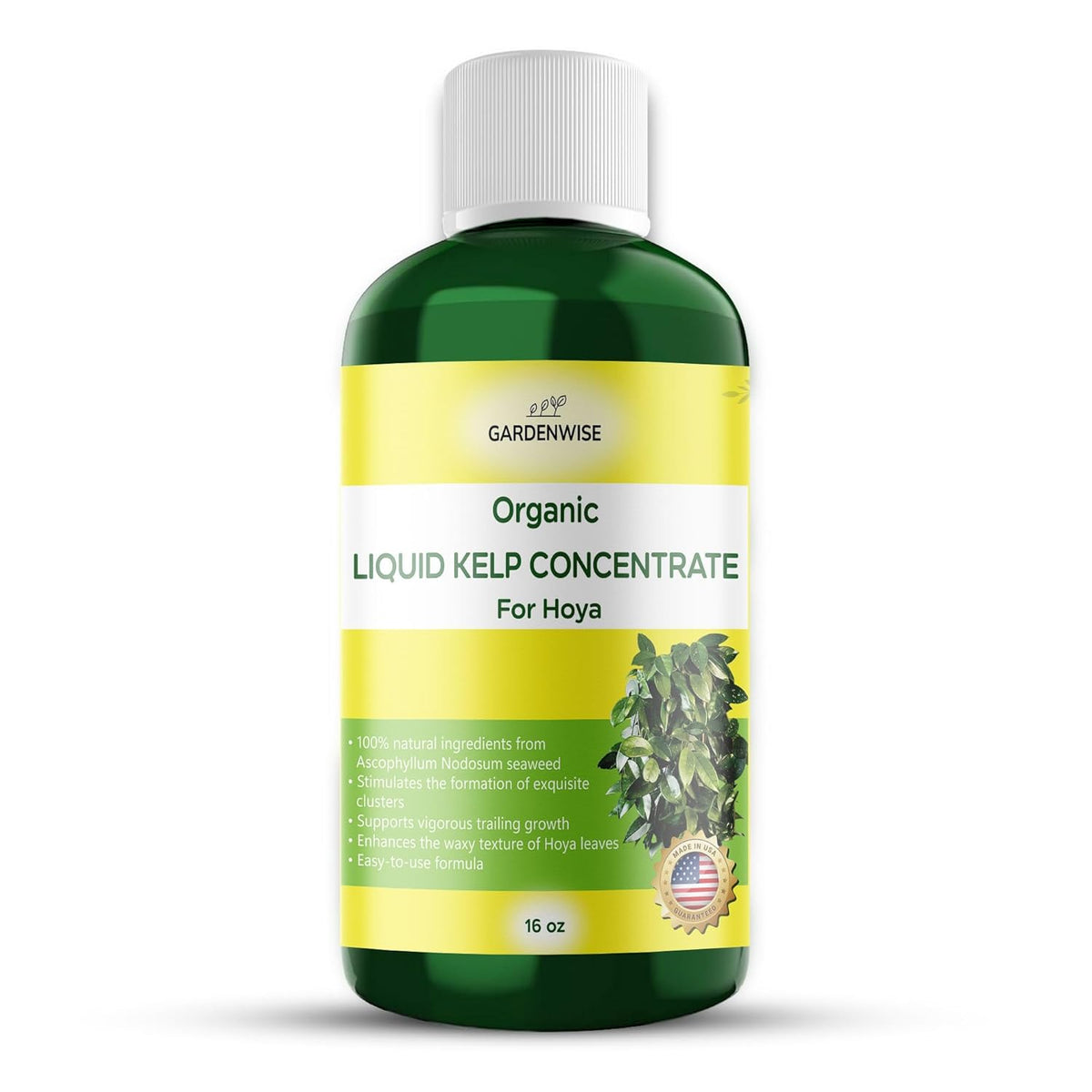 Organic Premium Kelp Seaweed Fertilizer for Hoya - Liquid Fertilizer - Liquid Plant Food