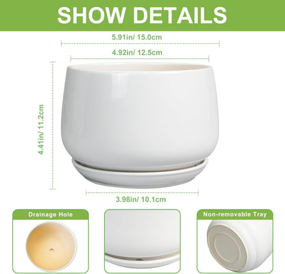 G EPGardening Ceramic Pots for Plants - 6 Inch Planter for Indoor Plants, Flower Pots with Drainage