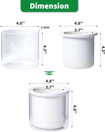 Phoenix Vine 4 Inch Self Watering Planter Pot, Design White Terracotta Pots for Plants, Indoor