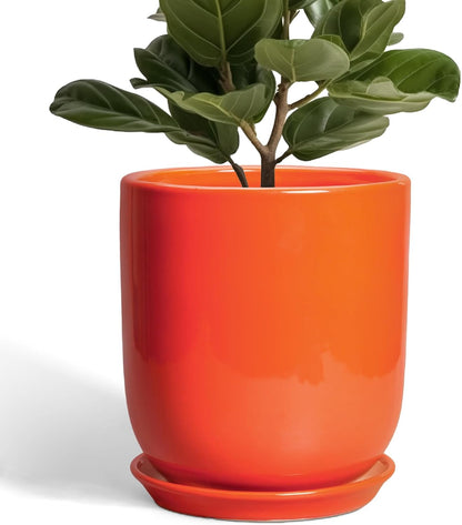 Indoor Planter 10 Inch - Ceramic Plant Pot with Drainage Hole and Saucer, Modern Decorative Round