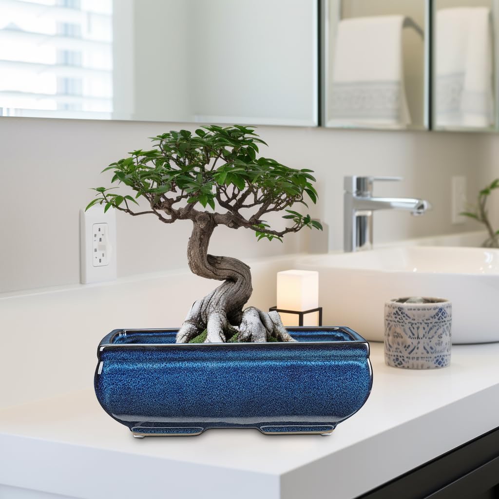 Set of 2 Blue Glazed Ceramic Bonsai Pots, 9.8" & 7.4" Rectangular Bonsai Pots Planters with