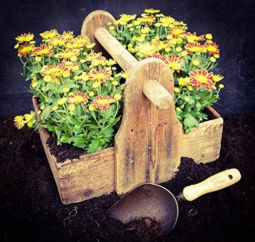 DeWit Forged Scoop Trowel - Heavy Duty Garden Tool with Extra Large Head, Tempered Boron Steel