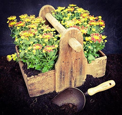 DeWit Forged Scoop Trowel - Heavy Duty Garden Tool with Extra Large Head, Tempered Boron Steel