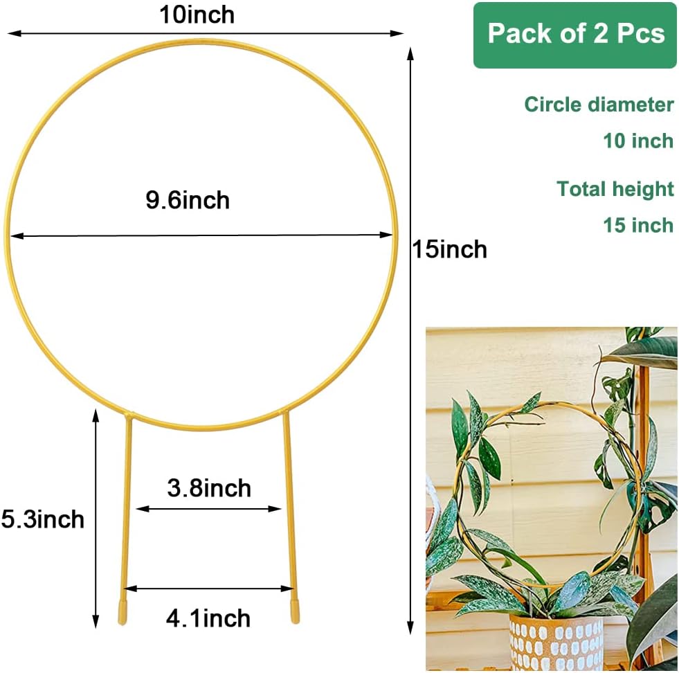 2 Pack Circle Trellis for Climbing Plants Indoor, 15" Gold Small Plant Support Stakes, Flower