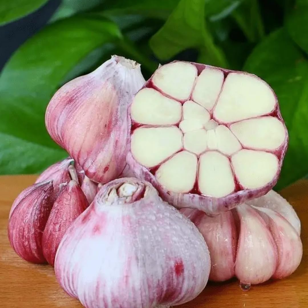 1 Pound Hard Neck Garlic for Planting in Fall, Assorted Mixed Garlic Bulb for Planting, Fresh and