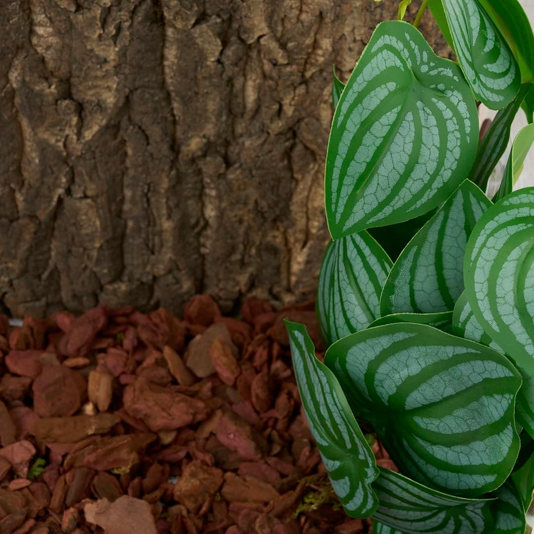 Reptile Plants for Terrarium, Amphibian Habitat Decor Artificial Hanging Plants with Suction Cup