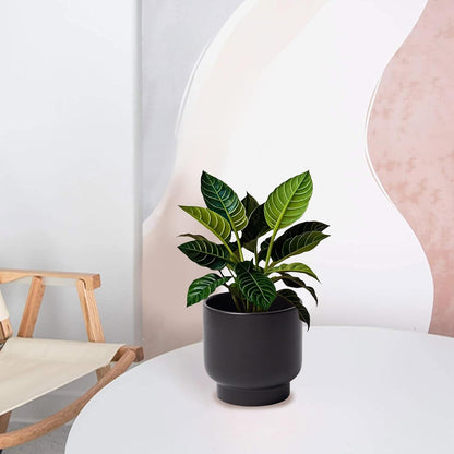 LB Black Ceramic Plant Pot for Indoor Plants, Succulent Planters Ceramic Plant Pots, Modern Flower
