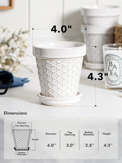LE TAUCI Ceramic Succulent Pots, 4 Inch Small Plant Pot for Indoor Plant Cactus, Embossed Flower