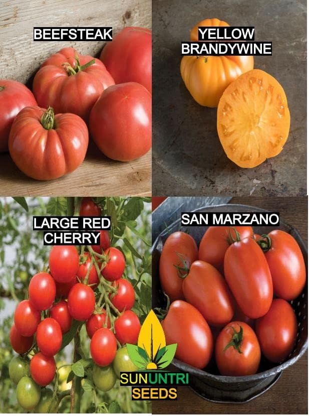 Tomato Seeds Variety Pack – 4 Heirloom Non-GMO Varieties: Beefsteak, Cherry, San Marzano, Yellow