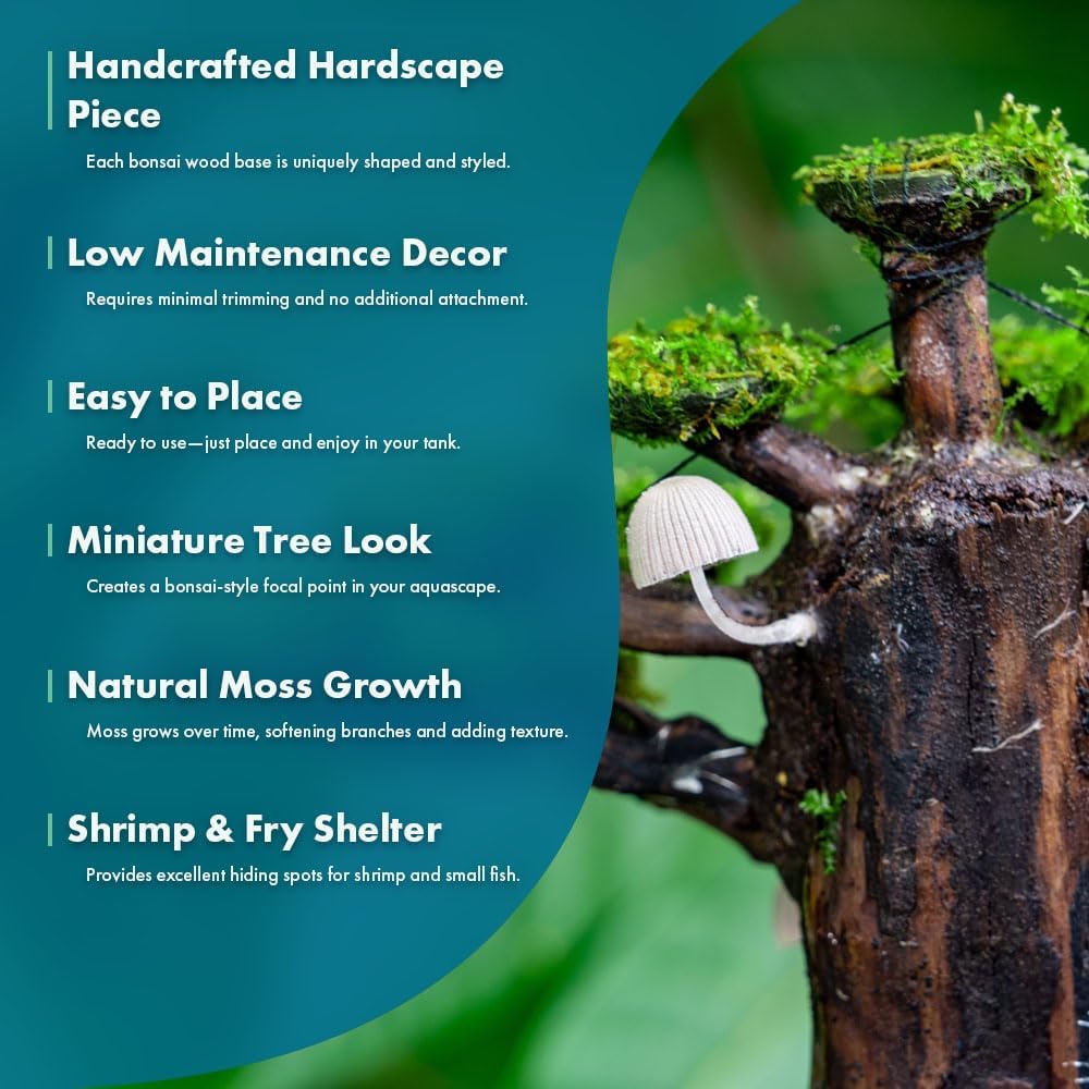 SubstrateSource Live Planted Decor - Moss on Bonsai (Aquascaping Tree) - Low to Moderate Light